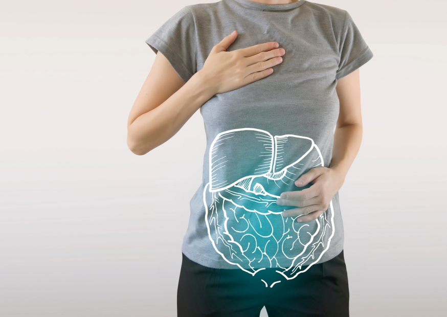 Person hält Hand auf Brust und Bauch, schematische Darstellung von Leber und Verdauungssystem eingeblendet; Symbolbild für Verdauungsbeschwerden