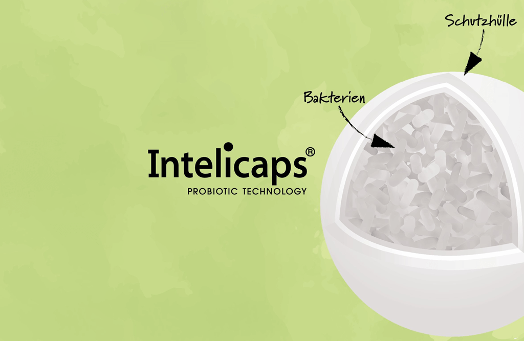 Mikroverkapselung - Schutz von guten Bakterien
