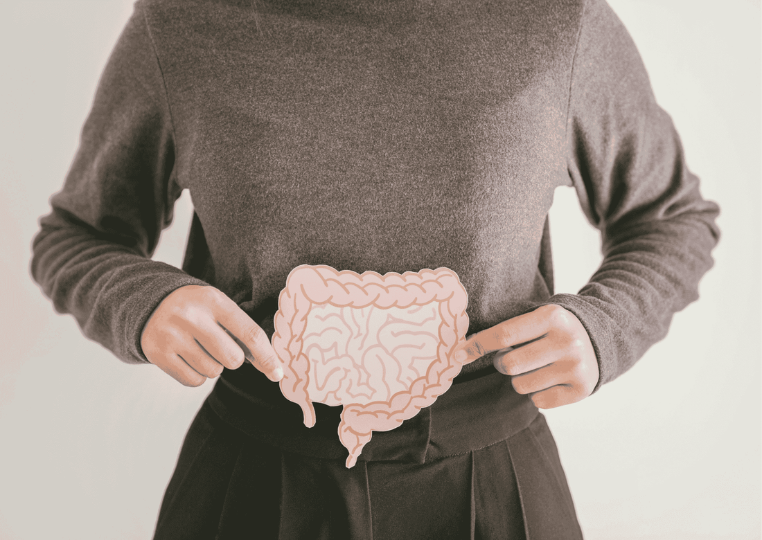 Person zeigt auf Papiermodell des Darms, Symbol für gesunde Verdauung und intakte Darmschleimhaut