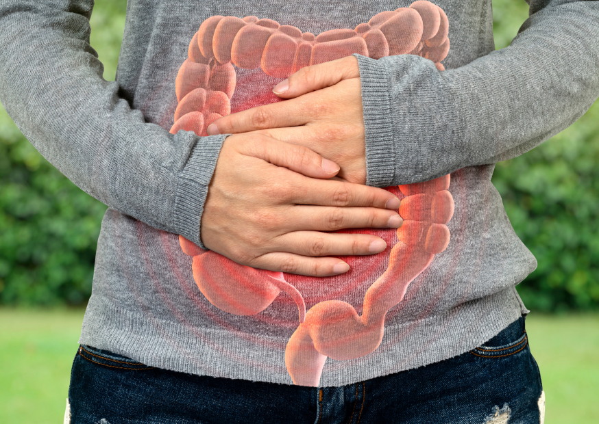 Hände auf dem Unterbauch mit visualisiertem Verdauungssystem; Symbolbild für Darmgesundheit und Bauchschmerzen