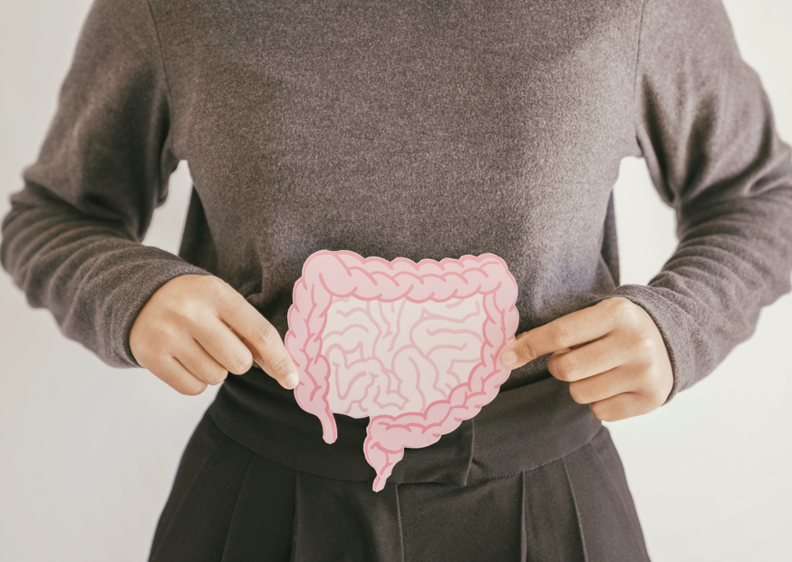 Milchsäurebakterien: Schlüssel zur Darmgesundheit