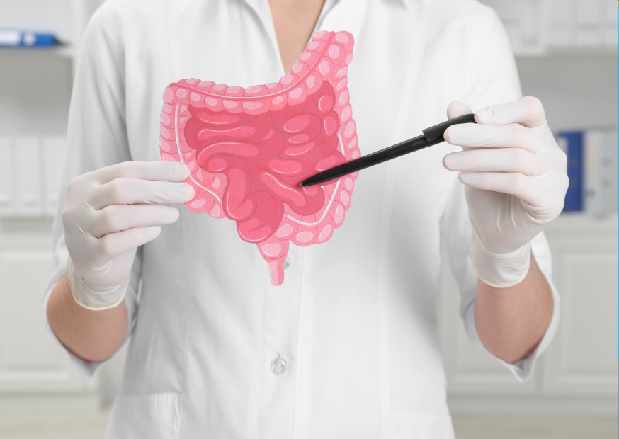 Zwölffingerdarmgeschwür – Ursachen, Symptome und natürliche Unterstützung