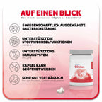 Lactobact 60plus