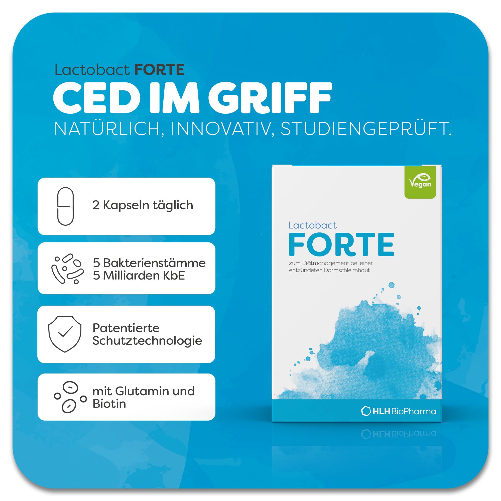 Produktbild von Lactobact FORTE mit hellblauem Aquarell Wasserfleck auf der Verpackung. Dank der patentierten Schutztechnologie gelangen Glutamin, Biotin und die 5 Bakterienstämme sicher in den Darm. Anwendung 2 Kapseln täglich. Natürlich, innovativ, studiengeprüft.
