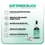 Informationsgrafik zum Casa Sana Bauch: Ein braunes Fläschchen mit grünem Etikett steht neben der liegenden Pipette. Überschrift: Was macht Casa Sana Bauch Gut so besonders? Links befinden sich fünf Vorteile des Produkts: 1. positive Unterstützung, 2. beruhigt den Magen-Darm-Trakt, 3. natürliche Rezeptur, 4. einfache Einnahme, 5. sehr gut Verträglich.