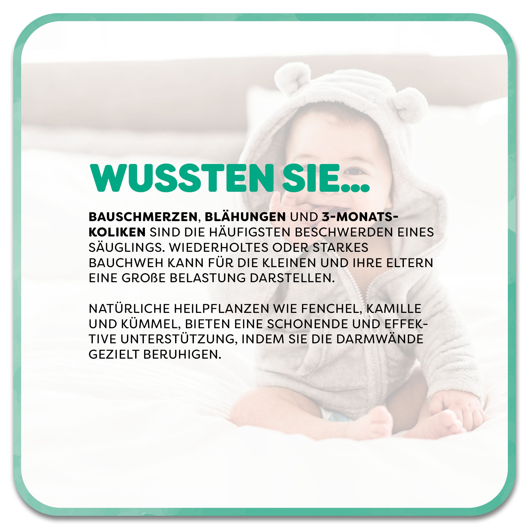 Auf dem Bild: lachendes Baby sitzt auf dem Bett. Im Vordergrund steht ein Textfeld mit der Überschrift ‚Wussten Sie…‘ in grüner Schrift. Darunter steht: Bauschmerzen, Blähungen und 3-Monats-Koliken sind die häufigsten Beschwerden eines Säuglings. Wiederholtes oder starkes Bauchweh kann für die Kleinen und ihre Eltern eine große Belastung darstellen. Natürliche Heilpflanzen wie Fenchel, Kamille und Kümmel, bieten eine schonende und effektive Unterstützung, indem Sie die Darmwände gezielt beruhigen.