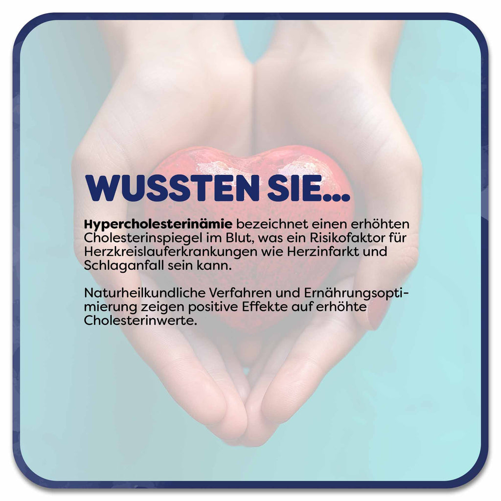 Im Hintergrund: Hände halten ein rotes Steinherz. Im Vordergrund steht ein Textfeld mit der Überschrift ‚Wussten Sie…‘ in blauer Schrift. Darunter steht: Hypercholesterinämie bezeichnet einen erhöhten Cholesterinspiegel im Blut, was ein Risikofaktor für Herzkreislauferkrankungen wie Herzinfarkt und Schlaganfall sein kann. Naturheilkundliche Verfahren und Ernährungsoptimierung zeigen positive Effekte auf erhöhte 
Cholesterinwerte. 