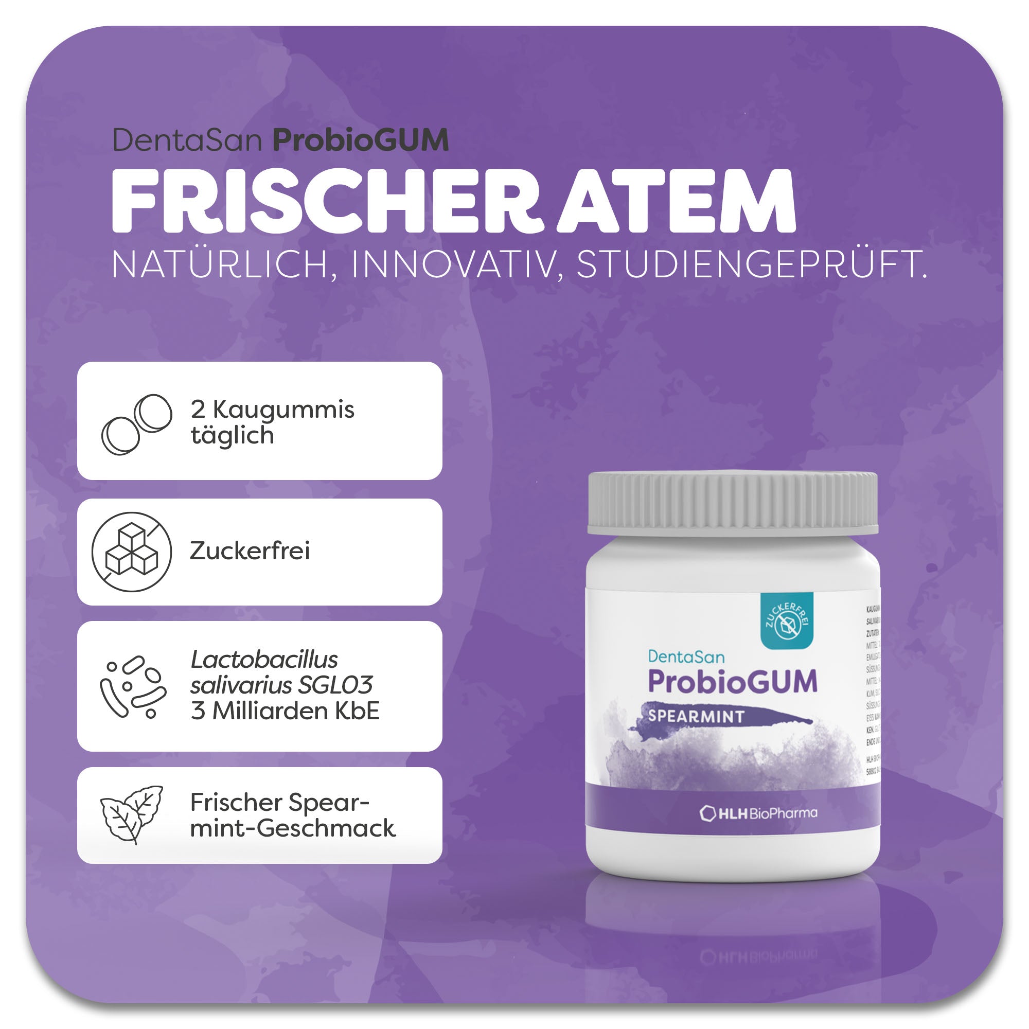 Produktbild des DentaSan ProbioGum mit weißer Dose und lilafarbenem Aquarell Wasserfleck auf dem Etikett. Der Produkt ist zuckerfrei und enthält den Bakterienstamm Lactobacillus salivaris. Frischer Spearmint-Geschmack bei 2 Kaugummis täglich. Natürlich, innovativ, studiengeprüft. 