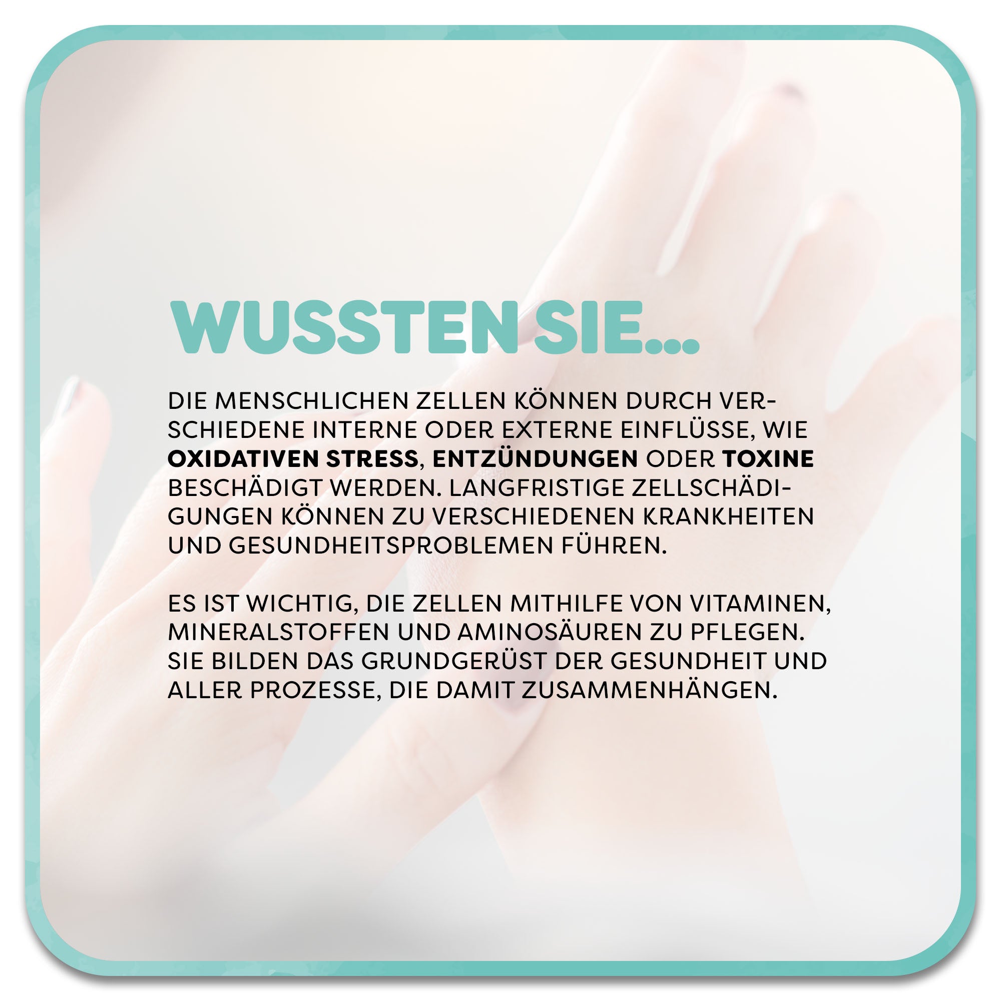 Im Hintergrund: Hände im Hintergrund. Im Vordergrund steht ein Textfeld mit der Überschrift ‚Wussten Sie‘ in mintfarbener Schrift. Darunter steht: Die menschlichen Zellen können durch verschiedene interne oder externe Einflüsse, wie oxidativen Stress, Entzündungen oder Toxine beschädigt werden. Langfristige Zellschädigungen können zu verschiedenen Krankheiten und Gesundheitsproblemen führen. Es ist wichtig, die Zellen mithilfe von Vitaminen, Mineralstoffen und Aminosäuren zu pflegen.