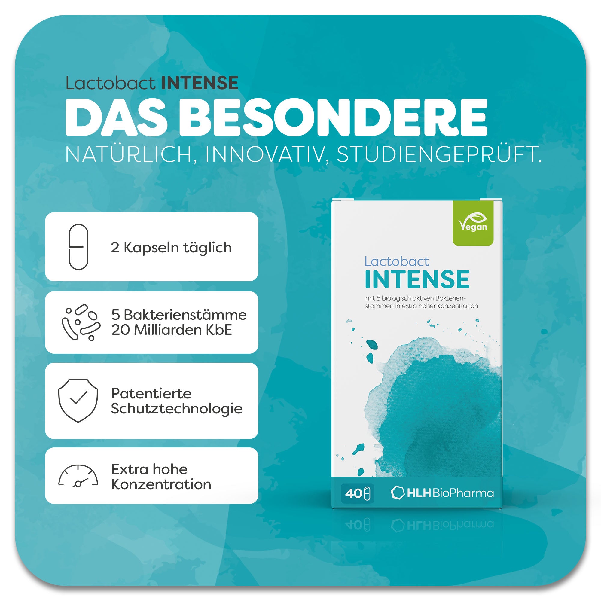 Produktbild des Lactobact INTENSE mit türkisfarbenem Aquarell Wasserfleck auf der Verpackung. Das Produkt ist vegan und in extra hoher Konzentration. Durch die patentierte Schutztechnologie können die 5 Bakterienstämme ohne Wirkverlust eingenommen werden. Anwendung 2 Kapseln täglich. Natürlich, innovativ, studiengeprüft.