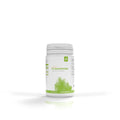 Dose der Casa Sana Bio Akazienfaser von HLH BioPharma, weiß-grünes Design mit vegan-Kennzeichnung