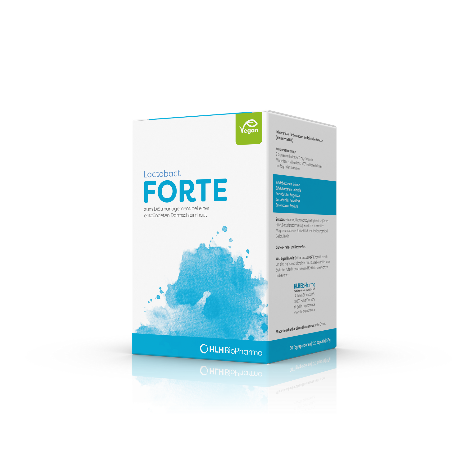 Produktbild schräge Ansicht von Lactobact FORTE 120 Kapseln mit hellblauem Aquarell Wasserfleck auf der Verpackung. 