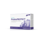 Produktbild schräge Ansicht des DentaSan ProbioPROTECT mit lilafarbenem Aquarell Wasserfleck und einer Zahn-Abbildung auf der Verpackung. 14 Sticks
