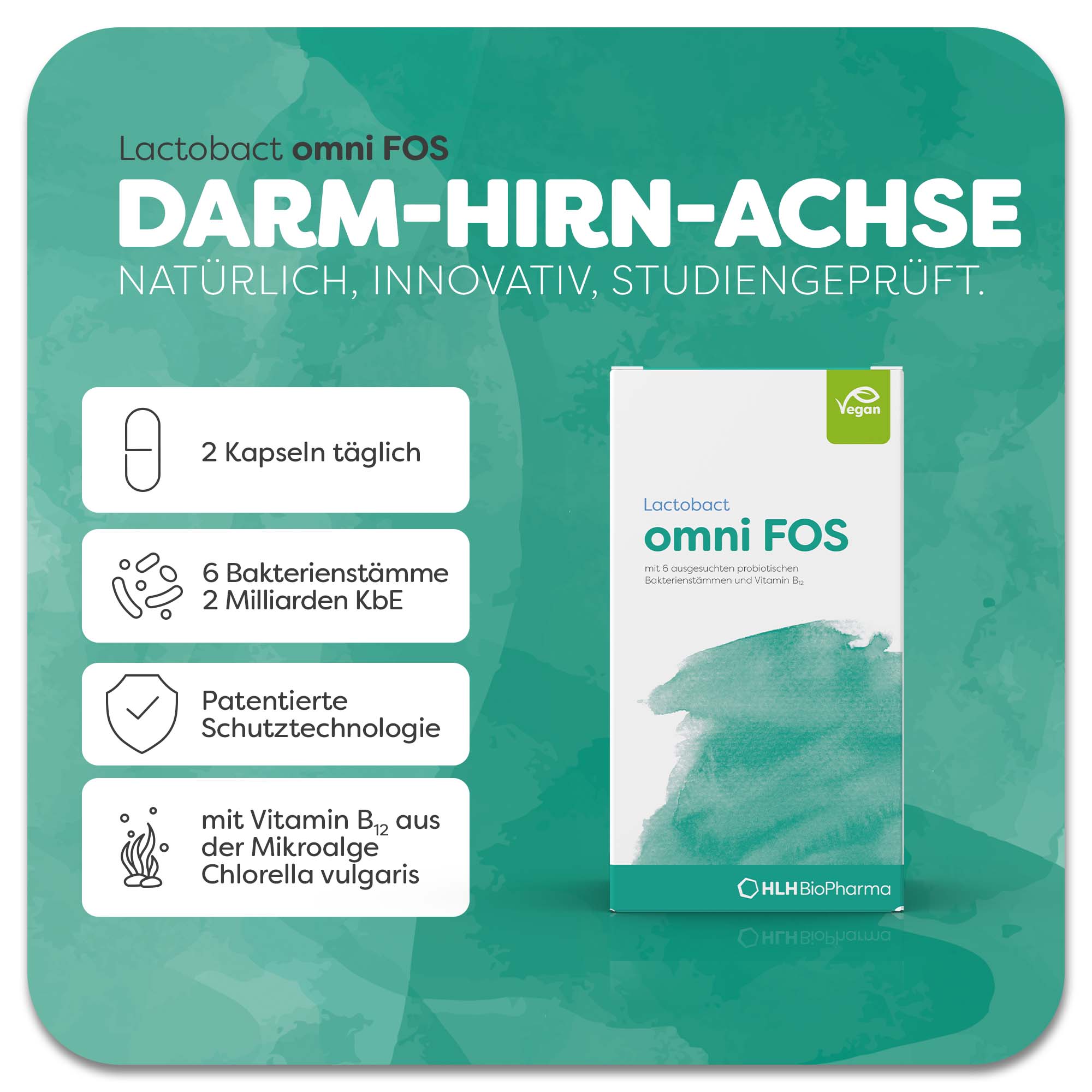 Produktbild von Lactobact omni FOS mit grünem Aquarell Wasserfleck auf der Verpackung. Dank der patentierten Schutztechnologie gelangen die 6 Bakterienstämme und Vitamin B12 aus der Mikroalge Chlorella vulgaris sicher in den Darm. Anwendung 2 Kapseln täglich. Natürlich, innovativ, studiengeprüft.