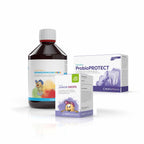 Produktbild JUNIOR IMMUN Paket : Links Casa Sana DARMREINIGUNG KIDS 500 ml, rechts DentaSan ProbioPROTECT 14 Portionen und in der Mitte Lactobact JUNIOR DROPS 60 Drops
