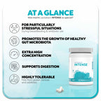 Infographic about Lactobact INTENSE: A white can with a turquoise watercolor water stain on the label is positioned to the right of two capsules. Headline: What makes Lactobact INTENSE so special? On the left are five benefits of the product: 1. For particularly stressful situations, 2. Promotes the growth of healthy gut microbiota, 3. Extra high concentration, 4. Supports digestion, 5. Very well tolerated.