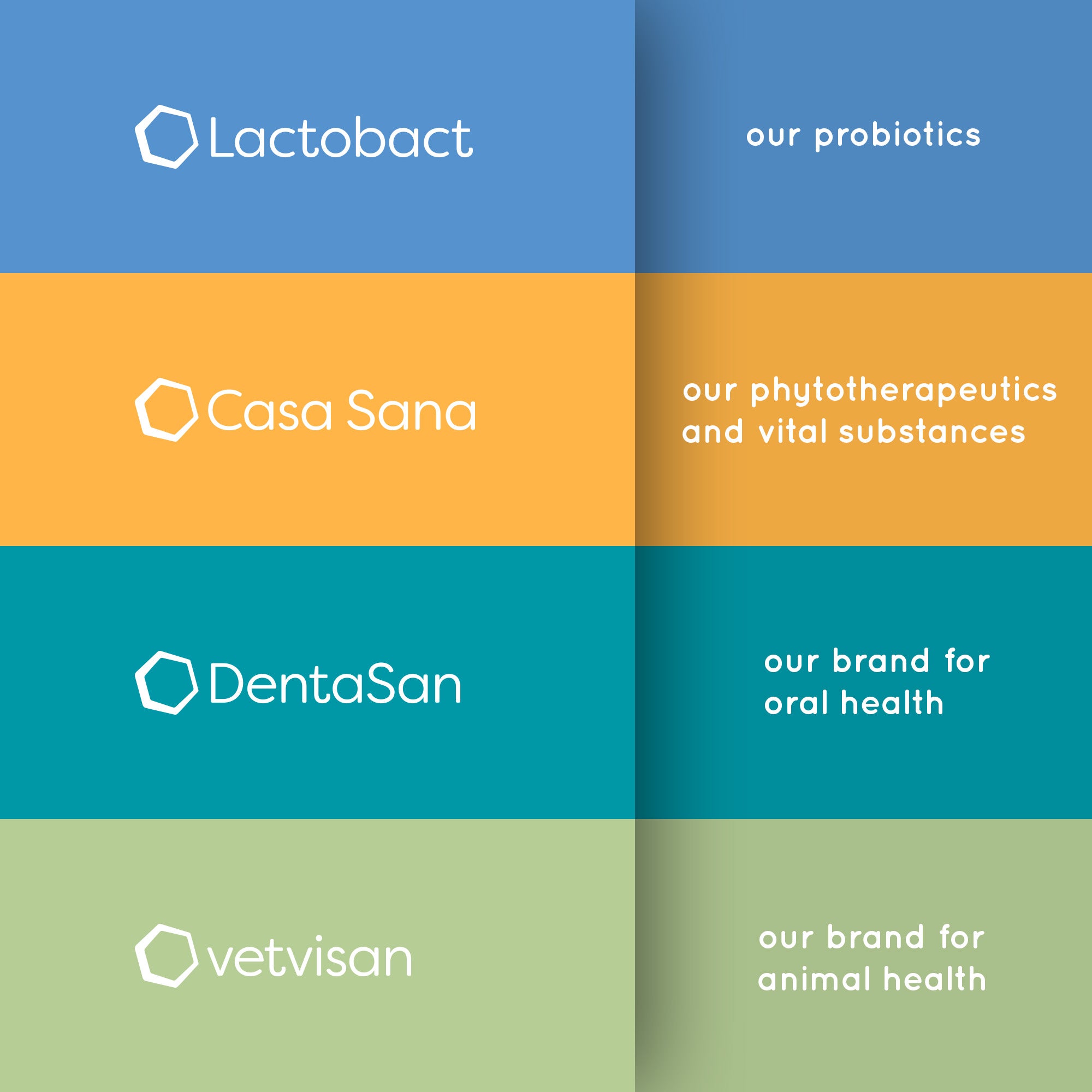 Markenvorstellung Lacotbact, Casa Sana, DentaSan und vetvisan